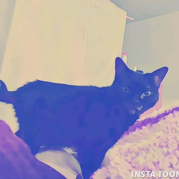 Meet your Posher, Melanie - Picture 6 of 15